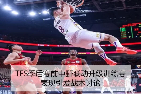 TES季后赛前中野联动升级训练赛表现引发战术讨论